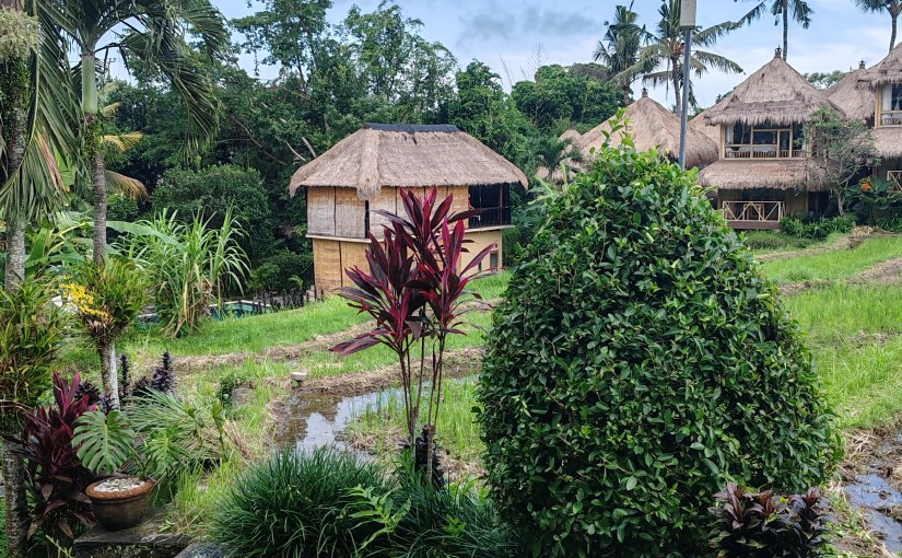 Planning a trip to Bali? Here’s how to avoid some common&nbsp;mistakes